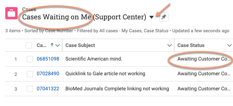 screenshot of example of SalesForce Cases waiting for reply